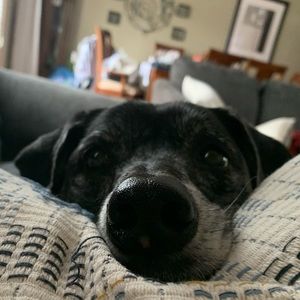 Meet your Posher, Cady